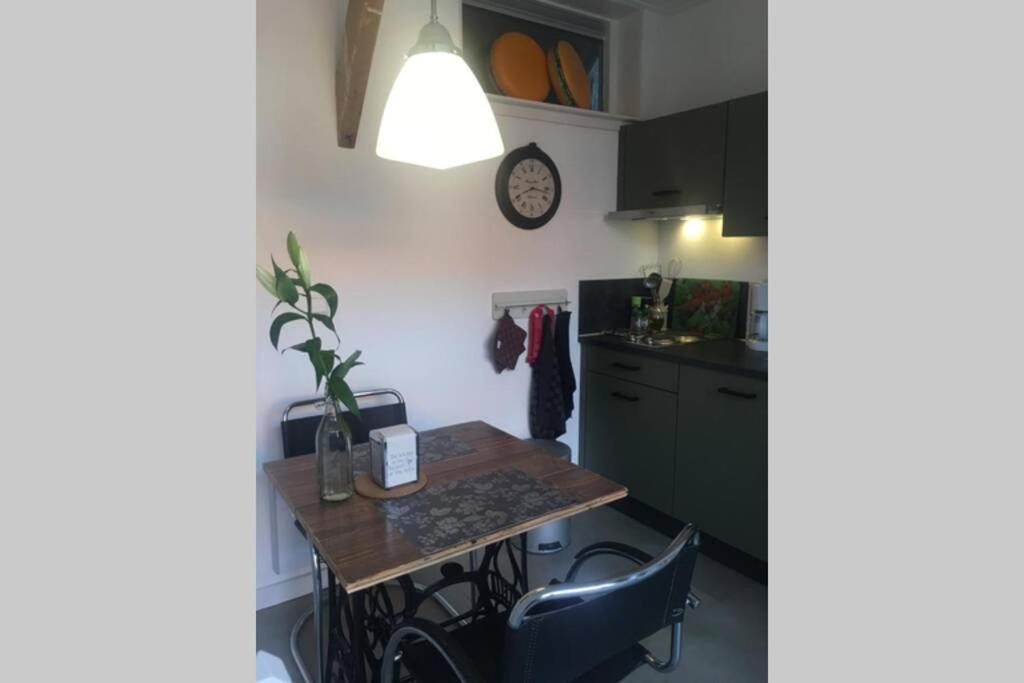 Villa Tiny House Holland Oudesluis  Exterior foto