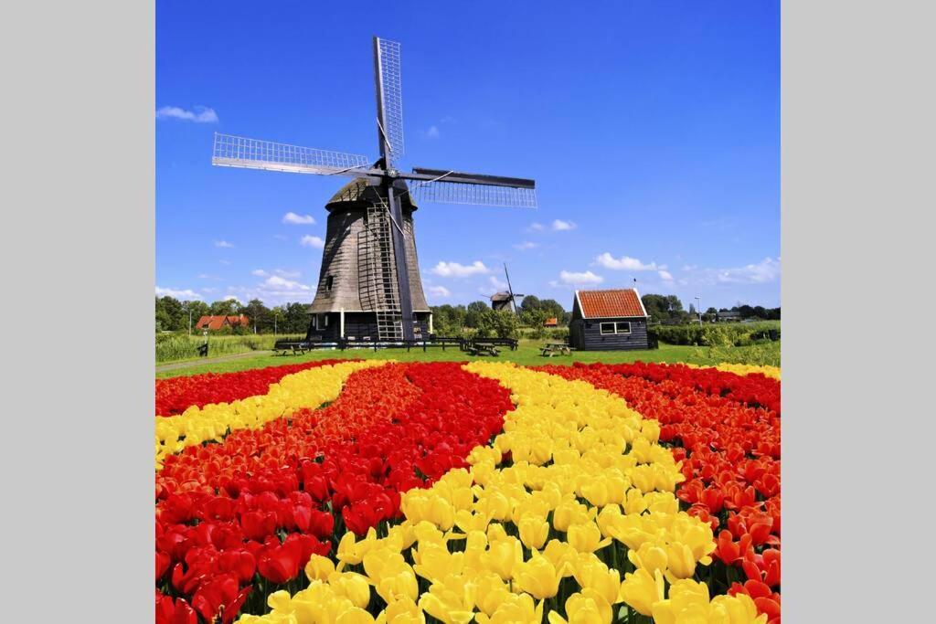 Villa Tiny House Holland Oudesluis  Exterior foto